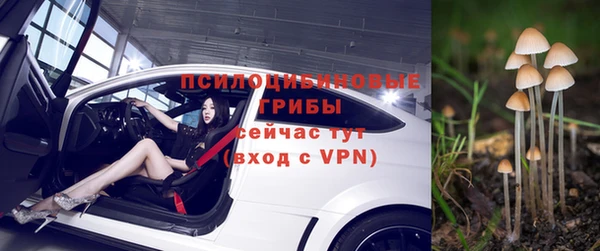 2c-b Верхний Тагил