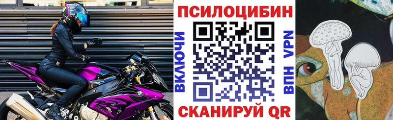 Купить  Солигалич  Псилоцибиновые грибы Psilocybine cubensis 